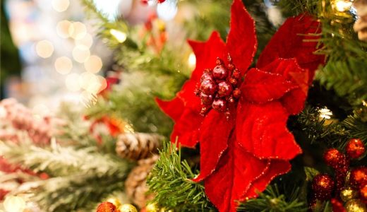 エンタメ検定11月18日｜飯尾和樹忘れられないクリスマスの思い出は？